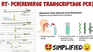 RT PCR (Reverse Transcriptase pcr)🤩 #Types of pcr #molecular_biology #technique #biotechnology