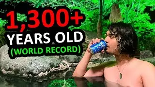 I Stayed at the World's OLDEST Hotel in Japan | 1,300 Years