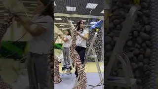 #balloonfestival