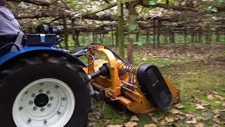 Berti Orchard Mulcher | TFB-M - Kent Griffiths