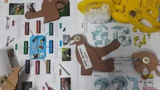 Birds types of beaks activity,Crushing beak (parrot),tearing beak(eagle)drilling beak(woodpecker)etc
