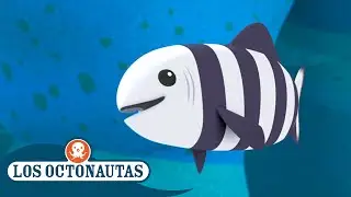Los Octonautas Oficial En Español - El pez piloto hambriento y el pez volador | Episodios Completos