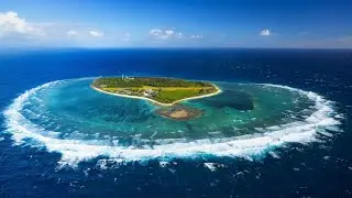Creatures of Lady Elliot Island
