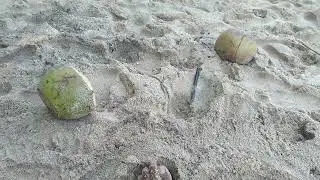 maianan anak di laut