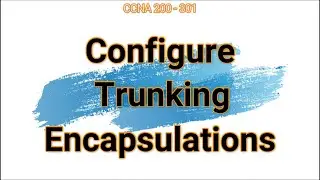 55. Configure Trunking Encapsulations
