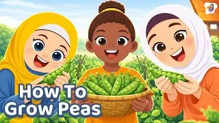 Good Deeds by Muslim Kids | Islamic Cartoon for Kids