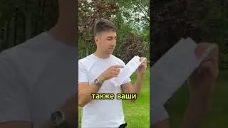 Договор на оказание услуг «Удаление деревьев»
