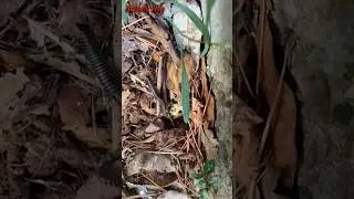 قال -رسول -الله -صلى -الله -عليه -و سلم #اكسبلور #nature #naturephotography #مجموعة الصدق و التعاون