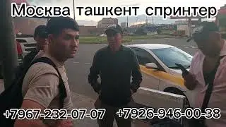 Москва ташкент спринтер ташкент москва спринтер