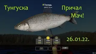 РР4! Тунгуска Пелядь и другая рыбка с причала!))