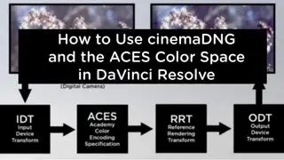 DaVinci Resolve 9.1 - How to Use cinemaDNG with ACES Color Space - Blackmagic Camera, Ikonoskop