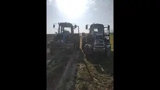 Подкормка озимой пшеницы МТЗ (2021)