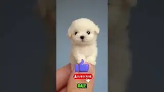 Огромная волна внезапно направилась к детям! 😱🌊