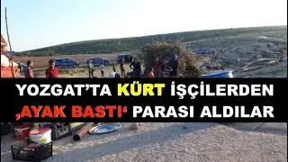 Yozgat‘ta Kürt işçilerden “ayak bastı” parası aldılar