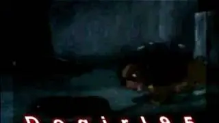 New opening??