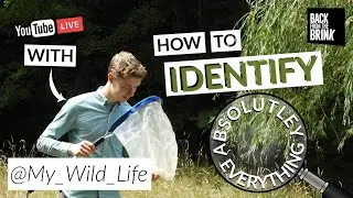 How to identify absolutely everything!