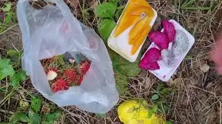 Эльдар Богунов и еда экзотика