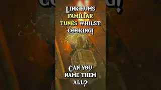 LINK HUMMING WHILST COOKING! - The Legend of Zelda: Tears of the Kingdom