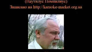 Исполнение караоке 