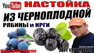 Настойка из Черноплодной рябины и Ирги. Простой рецепт приготовления! Дегустация!