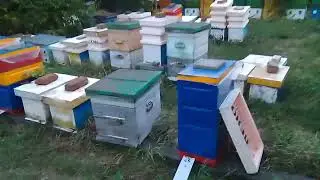 21 июля. Последствия урагана.