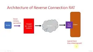 Architecture of reverse connection client side | Rat development 25