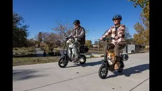 Gyroor  Electric Scooters with Large Middle Basket Foldable  for Pets & Cargo