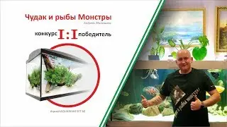 Огромный аквариум дома