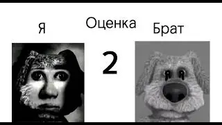 Реакция брата на оценку Vs моя