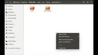 How to build Wolf Editor Debian package