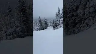 Vermont was looking good on Thursday!! 😍 it was day 38 of the ski season for me. 