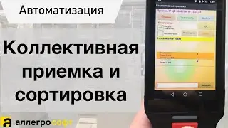Приемка и сортировка товара на нескольких ТСД