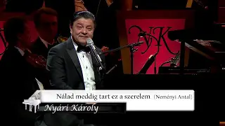 Nyári Károly - Nálad meddig tart... (Nyári Károly - Jubileumi Szimfonikus Koncert MÜPA 2016.)