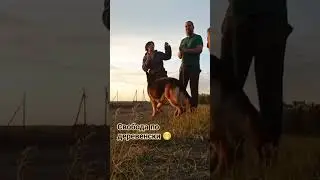 #деревня #животные #белгород #animals #белгородскаяобласть #танцы #собака