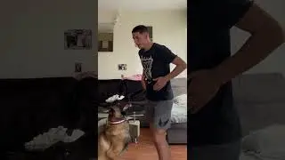 Tuto si ton chien saute sur toi !😉￼