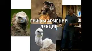 Грифы Армении. Карен Агабабян. Лекция.