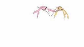 Slave Birds Wing Flapping Cycle Animation in Photoshop