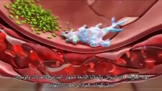 المرض التنفسي عند الأبقار BRD