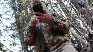 Didn't think I would see that on my trail camera