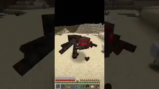 The Chicken :( 