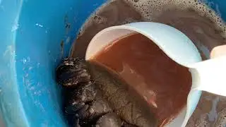 ヒグマの手のがま口を作る