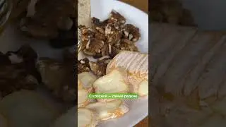 Откуда в сыре плесень?