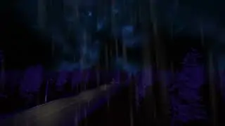 Rainy lone road going to a Forest