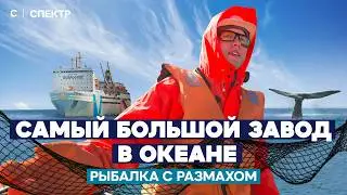 Океанский гигант. Как работает самый большой в мире плавучий рыбзавод