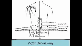 V27 Сяо-чан-шу