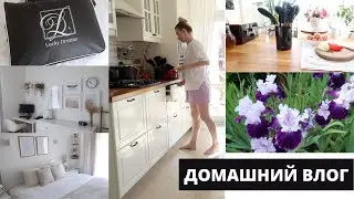 🍳DELICIOUS BREAKFAST▪️HOME SHOPPING▪️CLEANING AND NEW DECOR IN THE BEDROOM