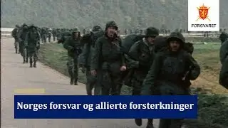 Norges forsvar og allierte forsterkninger