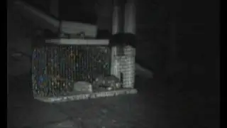 Home made mouse trap 2