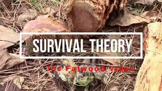 FATWOOD: Find, Process, Ignite