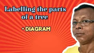 Labelling the parts of a tree 🌳  #science #education #braintrainer